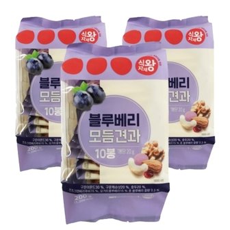 식자재왕 블루베리 하루견과 200g, 3개 (20gx30입)