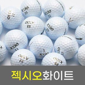 젝시오 화이트 A+급 10개 로스트볼 / 연습용 중고 골프공