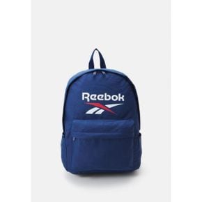 4957615 Reebok ASHLAND BACKPACK 45 CM UNI - Rucksack blue