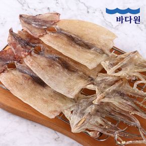 국내산 동해안 건오징어 20미(1kg 내외)[34376090]