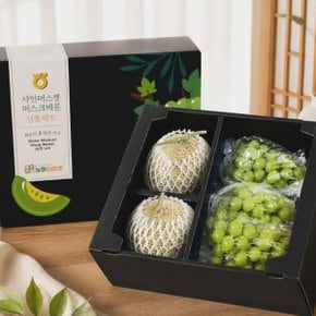 [바로배송] [농협] 프리미엄 멜론/샤인머스켓 혼합세트 5kg내외(멜론2수,샤인2kg3-4수)