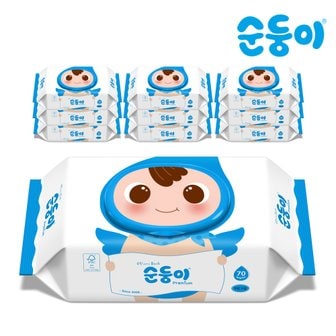 순둥이 PC-01 /프리미엄 무향플레인 캡형 70매 10팩