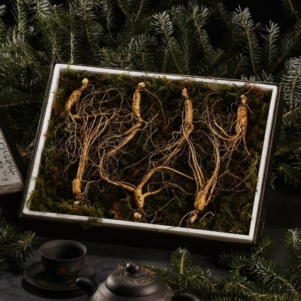 리얼명작 강원도 토종 산양산삼 선물세트 5-6년근 (6뿌리)