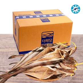 동해바다 집나간 반건 코다리 40미