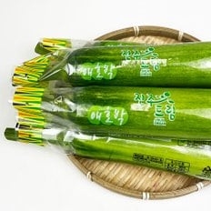  국내산 특품 애호박전 호박고지 둥근호박 인큐애호박 300g*2개