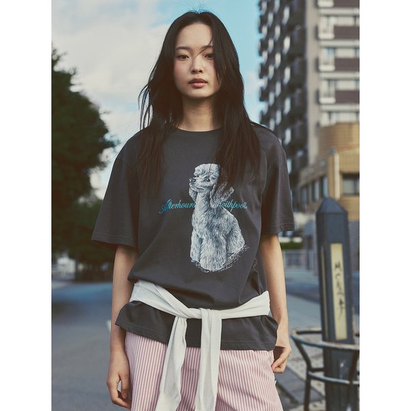 OVERSIZED POODLE GRAPHIC TEE V2 (CHARCOAL)