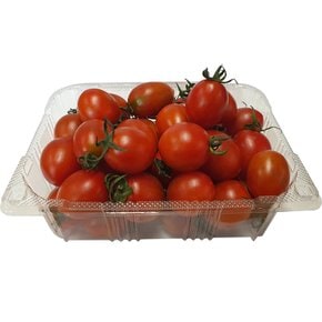 TopFruit - 대추방울토마토 3kg(750g x 4팩)