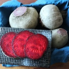 일농 제주 레드비트 3kg