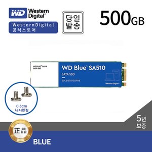 웨스턴디지털 BLUE SSD  SA510 M.2 500GB(SATA3/TLC/5년)