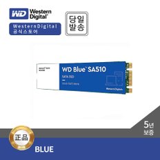 BLUE SSD  SA510 M.2 500GB(SATA3/TLC/5년)