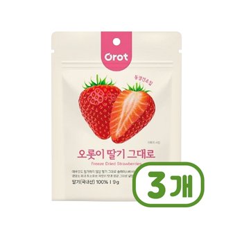  오롯이 딸기그대로 동결건조간식 9g x 3개