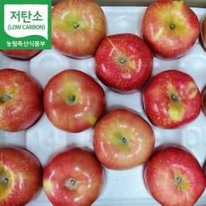 경북 영주 홍로 실속 사과 세트 3kg (11~15과 내외) GAP 저탄소인증 산지직송