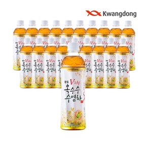 광동 V라인옥수수수염차 500ml 10펫