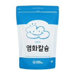 염화칼슘 1kg  / 비즈타입의 제습제 리필용 염화칼슘