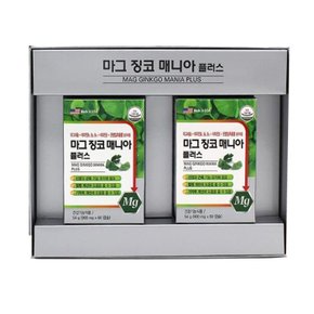 마그 징코 매니아플러스 혈행 기억력개선 60캡슐 x2개