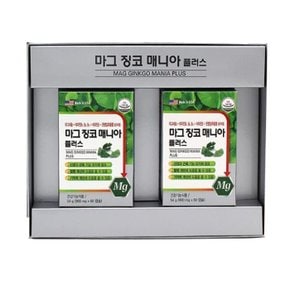 마그 징코 매니아플러스 혈행 기억력개선 60캡슐 x2개