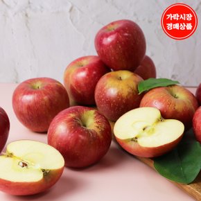 [가락시장 새벽 경매상품] [국산]사과 5kg내외(20~20입내)