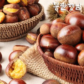 국내산 햇 알밤 (대) 2kg 생율밤 광양/순천 농장