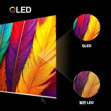 5년무상AS 24년형 구글TV 이스트라 쿠카 UC55QLED 139cm 퀀텀닷 안드로이드 스마트TV