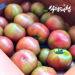 국내산 찰 토마토 1kg내외