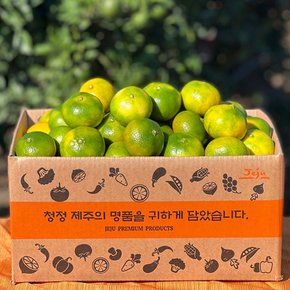 새콤달콤 제주 감귤 하우스 귤 1kg S사이즈(12-16과)