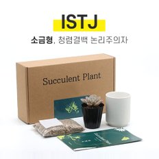 나만의 MBTI 미니 다육이 키우기 키트 ISTJ