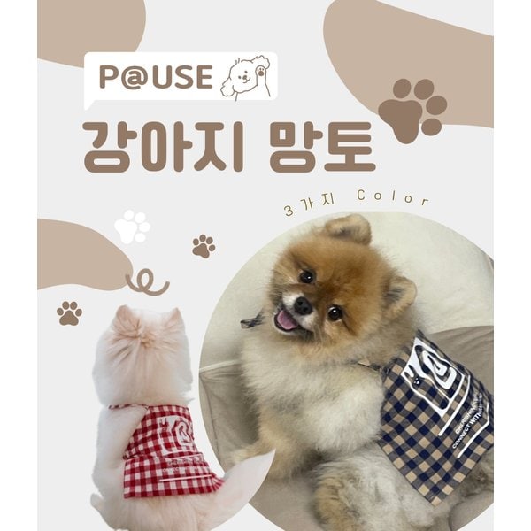 확대된 대표 .
