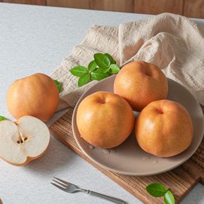 아삭아삭 알뜰 가정용 신고배 3kg (6-8과)