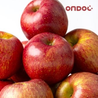 온도씨 경북 안동 길안 가정용 부사사과 중과 2kg (8-10과)