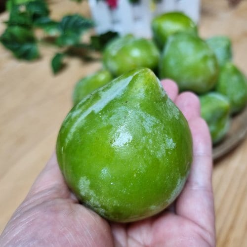 상품이미지1