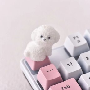 키캡 비숑 강아지 앉아 캐릭터 포인트 커스텀 기계식 키보드 꾸미기 키캡놀이