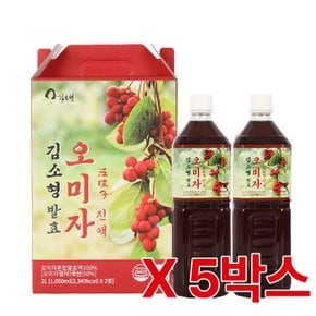 김소형 발효 오미자진액 1,000ml x 2병 5박스