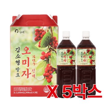  김소형 발효 오미자진액 1,000ml x 2병 5박스