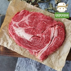 유기농 인증받은 건강한 우리 한우 등심(구이용) 300g