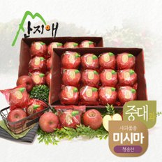 씻어나온 꿀사과 3kg 2box (중대과) / 청송산 미시마 당도선별