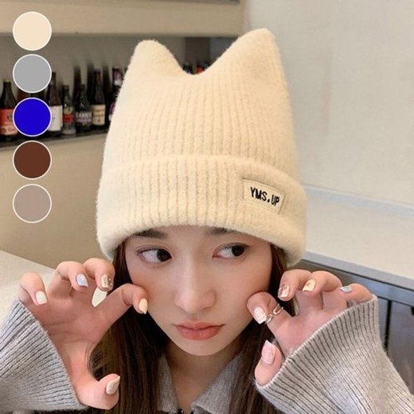 확대된 대표 image1