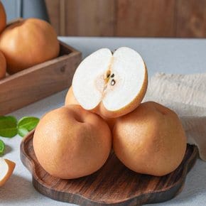 G 아삭아삭 알뜰 가정용 신고배 3kg (6-8과)