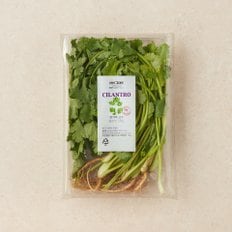  한가득 고수 (100g)