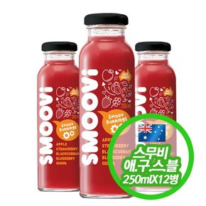 스무비 애플 구아바 스트로베리 블랙커런트 블루베리 smoovi 250mlX12병