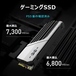 SSD 2TB PS5 SSD] M.2 2280 NVMe1.4 DRAM 7300MBs SP02KGBP44XS7005 실리콘 파워 동작 확인 완료