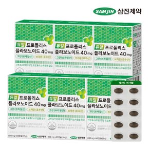 듀얼 프로폴리스 플라보노이드 40mg 그린 브라질산 브라운 호주산 6박스 (360캡슐)