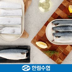 [제주 한림수협] 제주 은갈치&고등어 명품 선물세트 1호 (은갈치 400g x 3팩, 고등어 120g x 10팩) / 부직포가방_국내산_냉동비축품