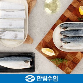 [9/5(목)순차출고][제주 한림수협] 제주 은갈치&고등어 명품 선물세트 1호 (은갈치 400g x 3팩, 고등어 120g x 10팩) / 부직포가방_국내산_냉동비축품