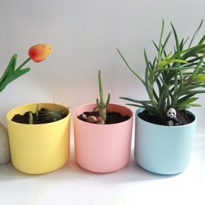 샤베트화분 저면관수 인테리어화분 분갈이화분 (2호)