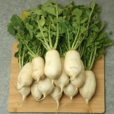  HACCP인증 알타리 8kg + 국내산 양념 2kg