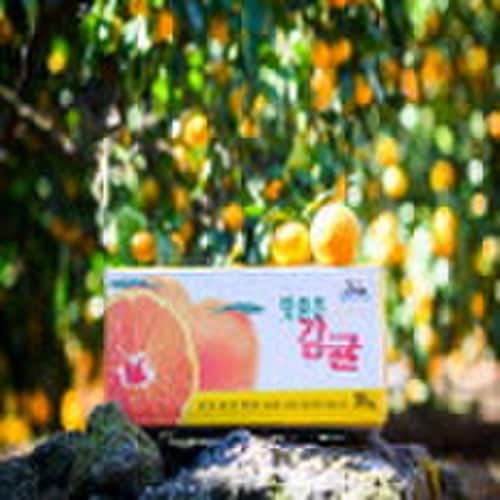 상품이미지2