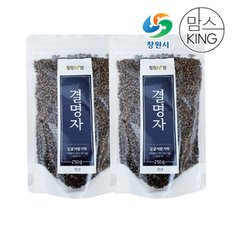 가고파힐링푸드 건조 결명자 250g X 2개