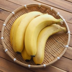 [가성비] 고당도 실속 꿀 바나나 3kg (낱개/다발 랜덤발송)