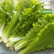  용천 유기농  로메인 800g