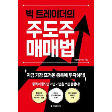 교보문고 빅 트레이더의 주도주 매매법